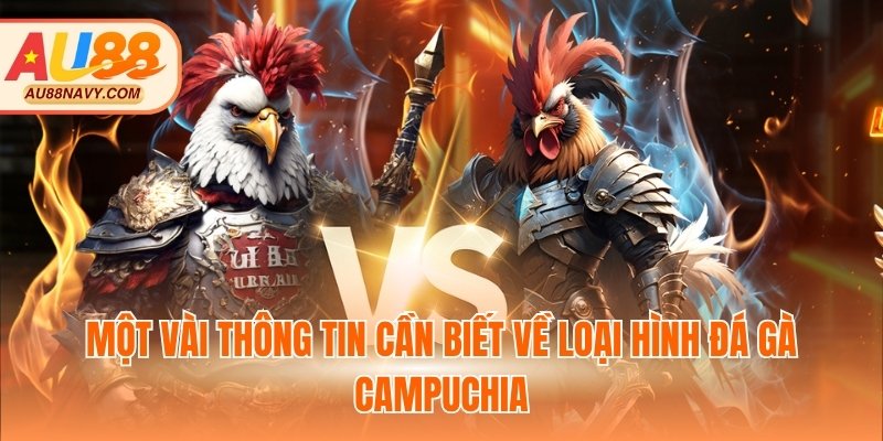 Một vài thông tin cần biết về loại hình đá gà Campuchia