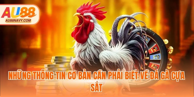 Những thông tin cơ bản cần phải biết về đá gà cựa sắt