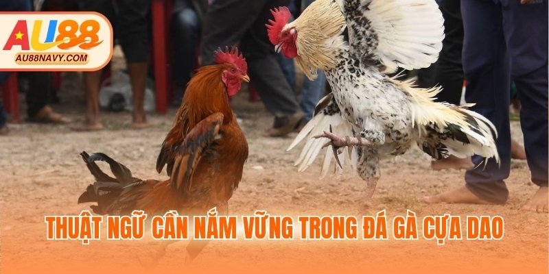 Thuật ngữ cần nắm vững trong đá gà cựa dao